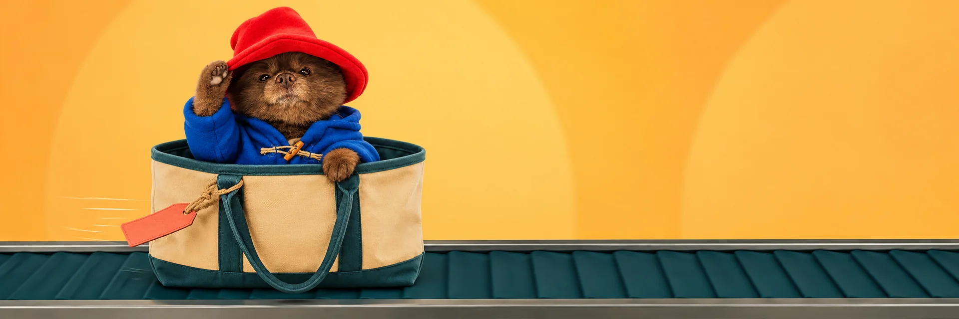 CCTV still: BERT waving from his bag as it rides the baggage carousel